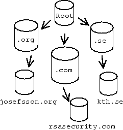 \includegraphics[scale=0.4]{dnsoverview}